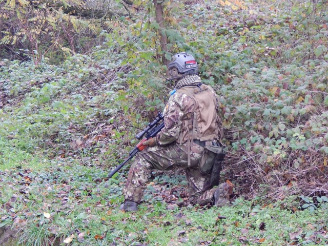  树林里的狙击手 